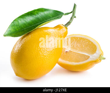 Citron mûrs fruits sur le fond blanc. Banque D'Images