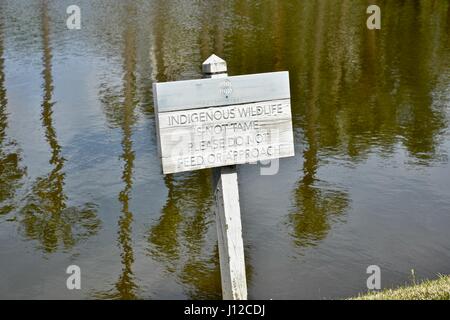 Les espèces indigènes de la faune sign, Hilton Head Island, SC, États-Unis d'Amérique Banque D'Images