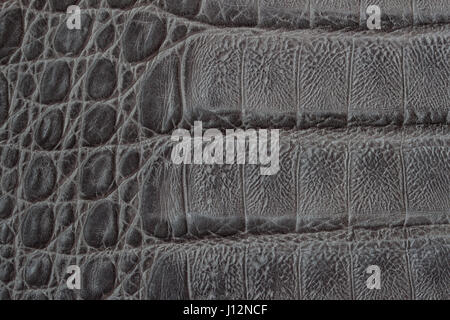 La texture en cuir véritable backgroundr close-up, gaufré sous la peau de crocodile, reptile imprimer. Artisan pour toile de fond, l'espace de copie. Concept de shopping, fabrication Banque D'Images