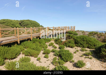 Des allées en bois, dunes, plage Artola Cabopino, monument naturel, l'Andalousie, espagne. Banque D'Images