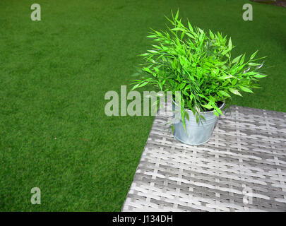 Table de jardin en rotin avec des plantes en plastique Banque D'Images