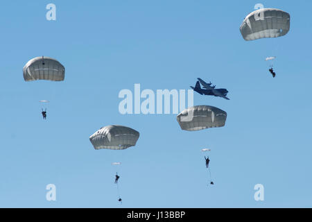 Parachutistes du 1er Bataillon, affecté au 501e Régiment d'infanterie de parachutistes d'infanterie, 4e Brigade Combat Team (Airborne), 25e Division d'infanterie de l'armée américaine, l'Alaska, descendre sur Malemute zone de chute après un saut de Nevada Air National Guard C-130H Hercules pendant l'entraînement à joint Base Elmendorf-Richardson, Alaska, le 13 avril 2017. Les soldats de 4/25 appartiennent à la seule brigade aéroportée américaine dans le Pacifique et sont formés pour exécuter les manœuvres dans les conditions climatiques extrêmement froides/environnements de haute altitude à l'appui de combattre, de partenariat et d'opérations de secours en cas de catastrophe. (U Banque D'Images