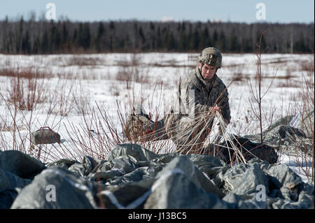 La CPS. Daniel Acevedo, originaire de Perris, en Californie, affecté au 1er bataillon du 501ème Parachute Infantry Regiment d'infanterie, 4e Brigade Combat Team (Airborne), 25e Division d'infanterie de l'armée américaine, l'Alaska, récupérer son parachute tout en menant à l'entraînement en zone de dépôt Malemute sur Joint Base Elmendorf-Richardson, Alaska, le 13 avril 2017. Les soldats de 4/25 appartiennent à la seule brigade aéroportée américaine dans le Pacifique et sont formés pour exécuter les manœuvres dans les conditions climatiques extrêmement froides/environnements de haute altitude à l'appui de combattre, de partenariat et d'opérations de secours en cas de catastrophe. (U.S. Air Force pho Banque D'Images