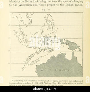 Image prise à partir de la page 382 de '[Principes de géologie ... Tiré à part de la sixième édition anglaise, etc.]' Banque D'Images