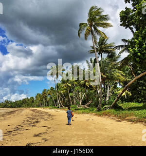 Mission Beach sur la pittoresque côte casoar dur entre Tully et Innisfail dans le nord du Queensland, au-delà de Townsville Banque D'Images