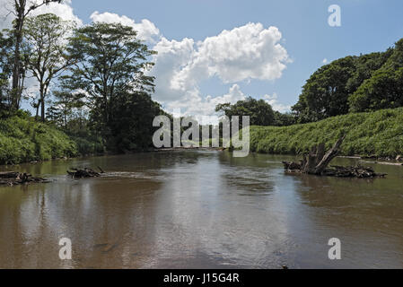La rivière de Tortuguero dans le nord-est du Costa Rica Banque D'Images