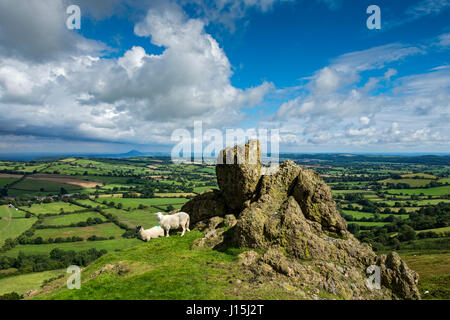 Une vue lointaine du Wrekin depuis la bataille des pierres sur Willstone Hill, dans l'espoir Bowdler Hills, près de Church Stretton, Shropshire, England, UK. Banque D'Images