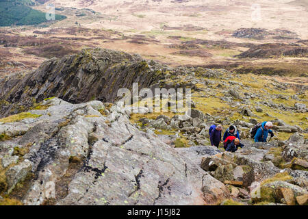 Les randonneurs d'escalade sur Daear Ddu east ridge sur Carnedd Moel Siabod à la montagne montagnes de Snowdonia National Park. Capel Curig Conwy Wales Royaume-uni Grande-Bretagne Banque D'Images