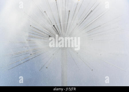 Close-up d'une belle fontaine en forme de boule à Dnepropetrovsk Ukraine Banque D'Images