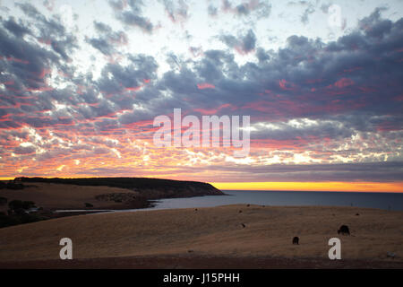 Vue panoramique du magnifique coucher de soleil sur l'île kangourou en Australie. Banque D'Images