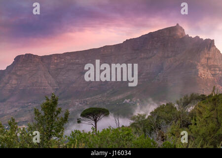 Table Mountain au coucher du soleil de Signal Hill , Cape Town , Afrique du Sud Banque D'Images