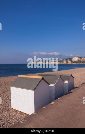 Seaton. Cabines de plage sur le front de Seaton, avec un ciel bleu au-dessus du vide, plage de galets. Banque D'Images