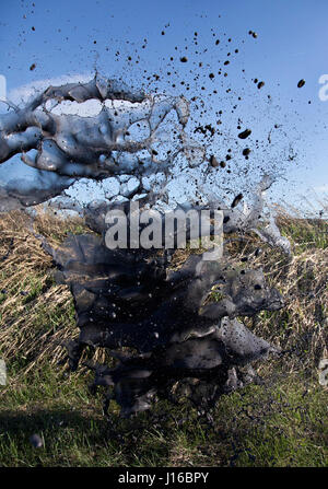 Le Nevada, USA : Photos éclaboussures de peinture de capture à la mi-air. Explosions de peinture multicolores tourner le désert d'Amérique en un arc-en-ciel. Un spectateur assiste à ces scènes d'ouverture ne serait pas les manquer en un clin d'oeil. Cependant, en capturant l'instant habilement, des artistes ont créé ces sculptures peinture suspendue extraordinaire qui existent pour juste un 3 200 e de-a -deuxième. Suspendue en l'air ces créations colorées a pris plus de deux mois pour saisir, en utilisant uniquement les compétences et la vision des photographes de la toile du Nevada et de l'Iowa. Basé à Brooklyn, New York, mariée photograp Banque D'Images