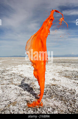 Le Nevada, USA : Photos éclaboussures de peinture de capture à la mi-air. Explosions de peinture multicolores tourner le désert d'Amérique en un arc-en-ciel. Un spectateur assiste à ces scènes d'ouverture ne serait pas les manquer en un clin d'oeil. Cependant, en capturant l'instant habilement, des artistes ont créé ces sculptures peinture suspendue extraordinaire qui existent pour juste un 3 200 e de-a -deuxième. Suspendue en l'air ces créations colorées a pris plus de deux mois pour saisir, en utilisant uniquement les compétences et la vision des photographes de la toile du Nevada et de l'Iowa. Basé à Brooklyn, New York, mariée photograp Banque D'Images