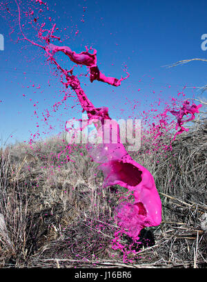 Le Nevada, USA : Photos éclaboussures de peinture de capture à la mi-air. Explosions de peinture multicolores tourner le désert d'Amérique en un arc-en-ciel. Un spectateur assiste à ces scènes d'ouverture ne serait pas les manquer en un clin d'oeil. Cependant, en capturant l'instant habilement, des artistes ont créé ces sculptures peinture suspendue extraordinaire qui existent pour juste un 3 200 e de-a -deuxième. Suspendue en l'air ces créations colorées a pris plus de deux mois pour saisir, en utilisant uniquement les compétences et la vision des photographes de la toile du Nevada et de l'Iowa. Basé à Brooklyn, New York, mariée photograp Banque D'Images