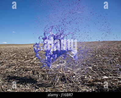 Le Nevada, USA : Photos éclaboussures de peinture de capture à la mi-air. Explosions de peinture multicolores tourner le désert d'Amérique en un arc-en-ciel. Un spectateur assiste à ces scènes d'ouverture ne serait pas les manquer en un clin d'oeil. Cependant, en capturant l'instant habilement, des artistes ont créé ces sculptures peinture suspendue extraordinaire qui existent pour juste un 3 200 e de-a -deuxième. Suspendue en l'air ces créations colorées a pris plus de deux mois pour saisir, en utilisant uniquement les compétences et la vision des photographes de la toile du Nevada et de l'Iowa. Basé à Brooklyn, New York, mariée photograp Banque D'Images