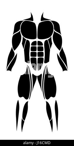 Muscles - abstract black figure ou l'icône des plus grands muscles humains - vector illustration isolé sur fond blanc. Banque D'Images