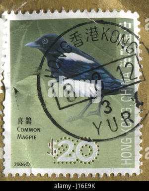 GOMEL, BÉLARUS, le 18 avril 2017. Timbres de Hong Kong, la Chine montre l'image de la politique commune de Magpie, circa 2006. Banque D'Images