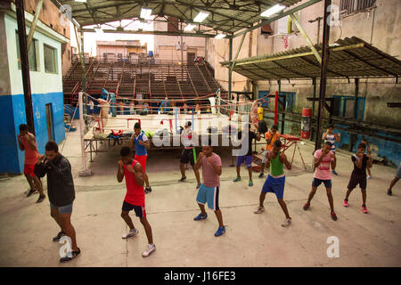 Les garçons en formation cubaine très équipements de base à la célèbre Rafael Trejo Boxing Gym à La Havane, Cuba Banque D'Images