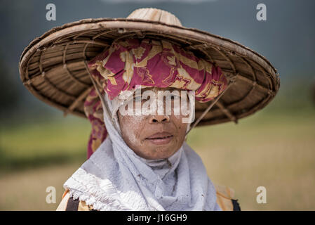 Portrait d'Une travailleuse rizicole dans la vallée de Harau, Sumatra, Indonésie Banque D'Images