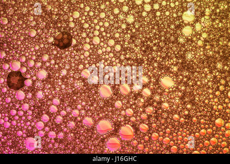 Résumé Contexte - texture mousse en rose-jaune, close-up, contre la lumière Banque D'Images