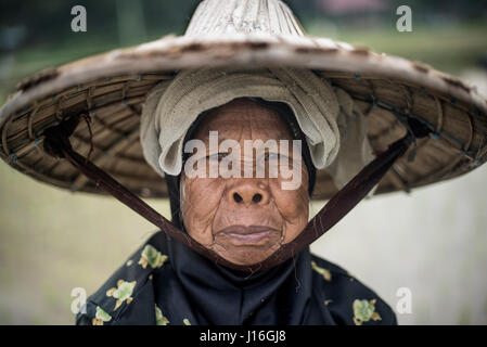 Portrait d'Une travailleuse rizicole dans la vallée de Harau, Sumatra, Indonésie Banque D'Images