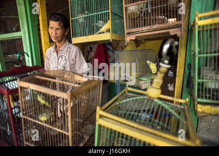 Un oiseau en cage vendeur au marché aux oiseaux Ngasem Pasar de Yogyakarta, Java, Indonésie Banque D'Images