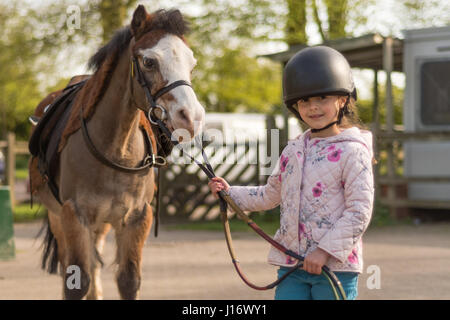 Jeune fille portant un casque d'équitation poney gallois de premier plan. Enfant tenant tête de Brown et blanc Welsh cob cheval après leçon Banque D'Images