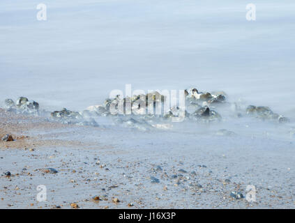 Pierres sur le rivage à West Runton beach sur une marée descendante dans la région de North Norfolk, England, UK Banque D'Images