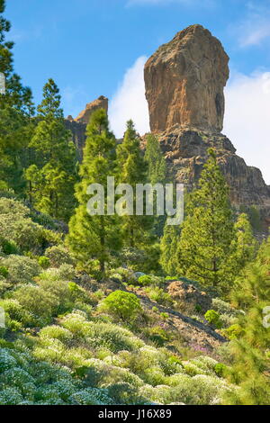 Roque Nublo rock, Gran Canaria, Espagne Banque D'Images