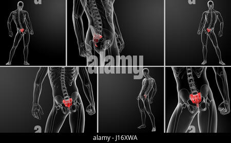 Le rendu 3d illustration os sacrum Banque D'Images