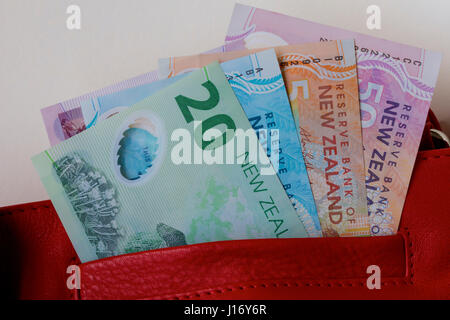 New Zealand dollars dans un sac en cuir rouge. Banque D'Images