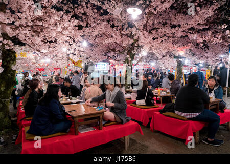 KYOTO, JAPON - 7 avril, 2017 : Japon foule profiter du printemps les cerisiers en fleurs à Kyoto en participant au nuit saisonniers festivals Hanami dans parc Maruyama Banque D'Images