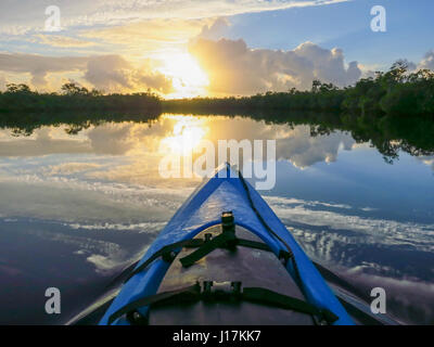 Sunrise kayak pagaie dans les Everglades de Floride le long de la Wilderness Waterway Banque D'Images