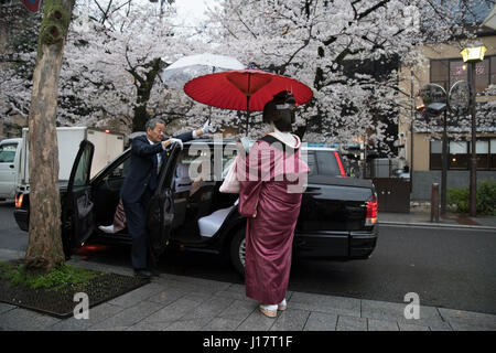 Geisha avec parasols traditionnels d'entrer dans le taxi-Kiyamachi dori Higashiyama en nr. Gion, Kyoto, Japon Banque D'Images