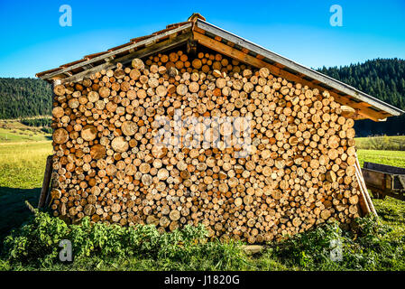 Pile ou pile de grumes de bois de feu naturel sous le toit. Pile de bois de sciage sont protégés des intempéries, en étant sous un toit ou une maison dans un fiel Banque D'Images