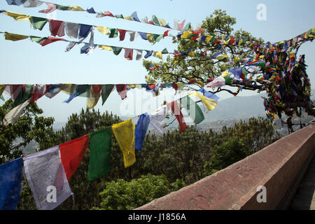 Les drapeaux de prières drapées de quelques arbres à Swayambhou / Swayambhunath, Katmandou, Népal Banque D'Images