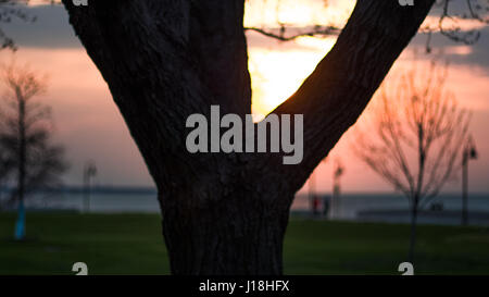 Lakewood Park Sunset Banque D'Images