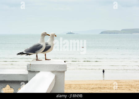 St Ives, Cornwall, UK Banque D'Images