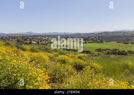 Vue de printemps mille chênes dans le comté de Ventura, en Californie. Banque D'Images