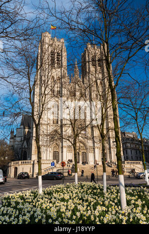 Cathédrale de St Michael et St Gudule, Bruxelles, Belgique Banque D'Images