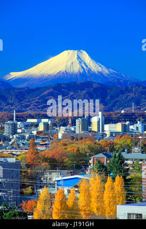 Le Mont Fuji Vue de ville Higashiyamato Tokyo Japon Banque D'Images