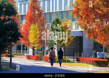 Feuillage d'automne Promenade urbaine Tachikawa city Tokyo Japon Banque D'Images