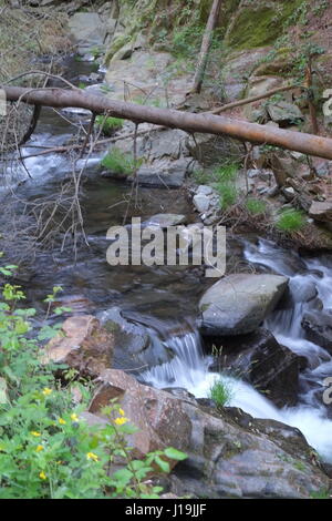 Les paysages le long de la rivière dans les montagnes de la Serra da Lousa. Coimbra, Portugal Banque D'Images