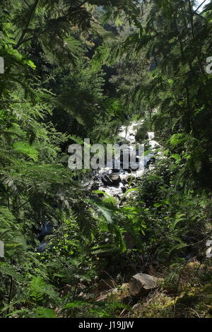 Les paysages le long de la rivière dans les montagnes de la Serra da Lousa. Coimbra, Portugal Banque D'Images