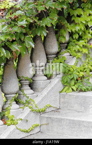 Rampes d'escalier de pierre du château et de verdure. Banque D'Images