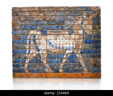 La brique vernissée de couleur panneaux représentant des taureaux, le symbole de l'Adad dieu météo, à partir de la façade de la première porte d'Ishtar, Babylone, plus petites, qui f Banque D'Images