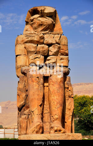 Colosses de Memnon sont deux gigantesques statues de pierre représentant le Pharaon Amenhotep III Banque D'Images