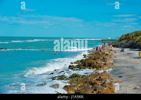 Venice Beach Floride USA rocks on beach Banque D'Images