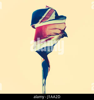 Retro symbolique Image filtrée d'un minable British Union Jack Flag Banque D'Images